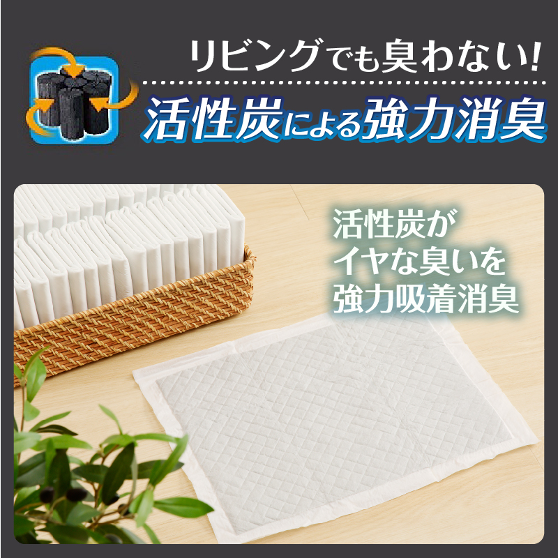 ネオシーツ＋カーボンＤＸレギュラー 88枚入×2パック [sf002-366]