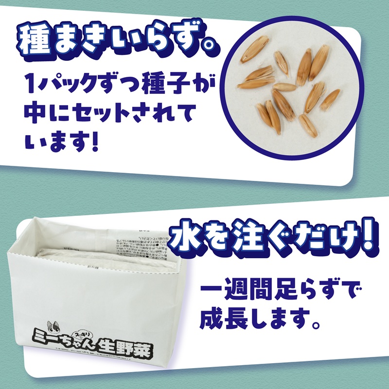 ミーちゃんスッキリ生野菜 2パック×10個 猫草栽培セット [sf002-386]