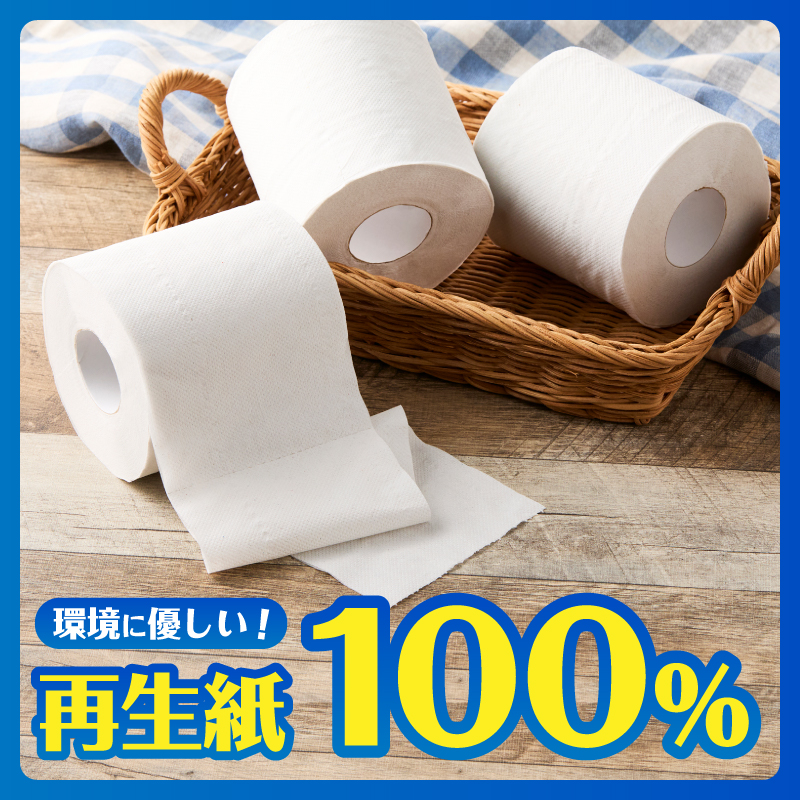 エグレット再生紙トイレットペーパー 12Rダブル [sf002-389]