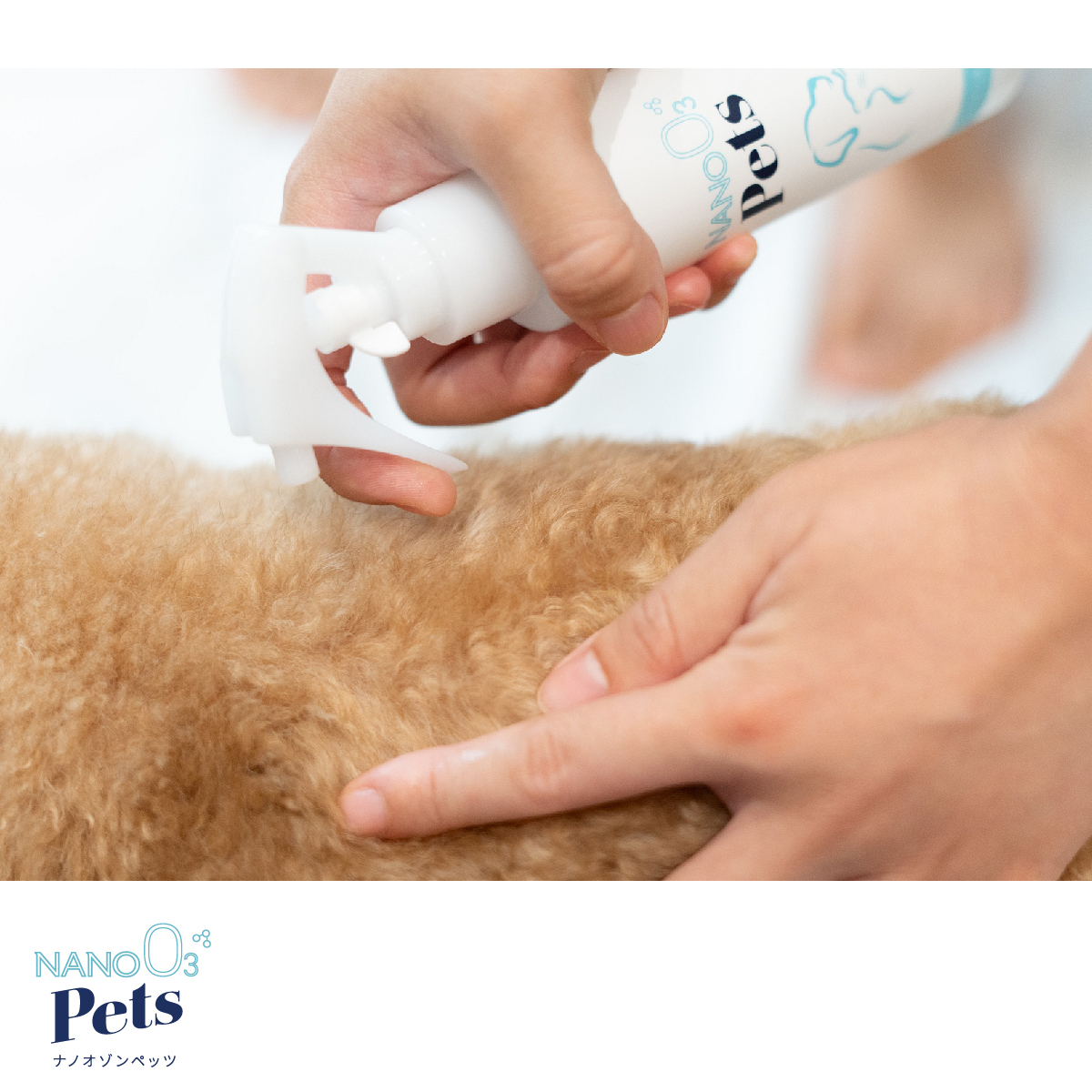 NANO OZONE Pets [sf025-006]