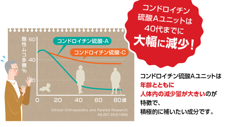 【定期便6カ月】グルコサミンコンドロイチン [sf069-004]
