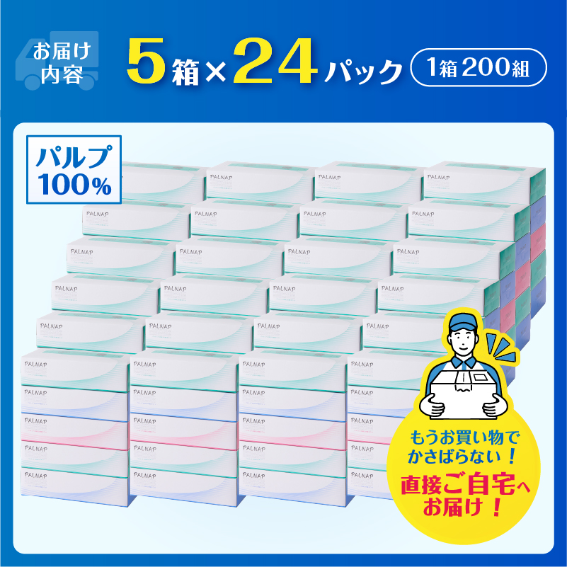 スリムパルナップボックスティッシュ400枚（200組）5箱×12パック60箱【配送2個口】計120箱 [sf002-035]