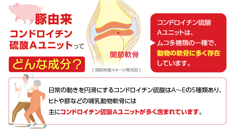 グルコサミンコンドロイチン EX 240粒入り サプリ サプリメント ダイエット 健康 グルコサミン コンドロイチン コラーゲン 豚由来 コラーゲンペプチド 医薬品 関節 ウォーキング 散歩 日本ハム ニッポンハム 送料無料 [sf069-002]
