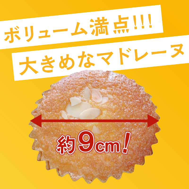 バターたっぷり マドレーヌ 6個入り メール便 [sf002-354]