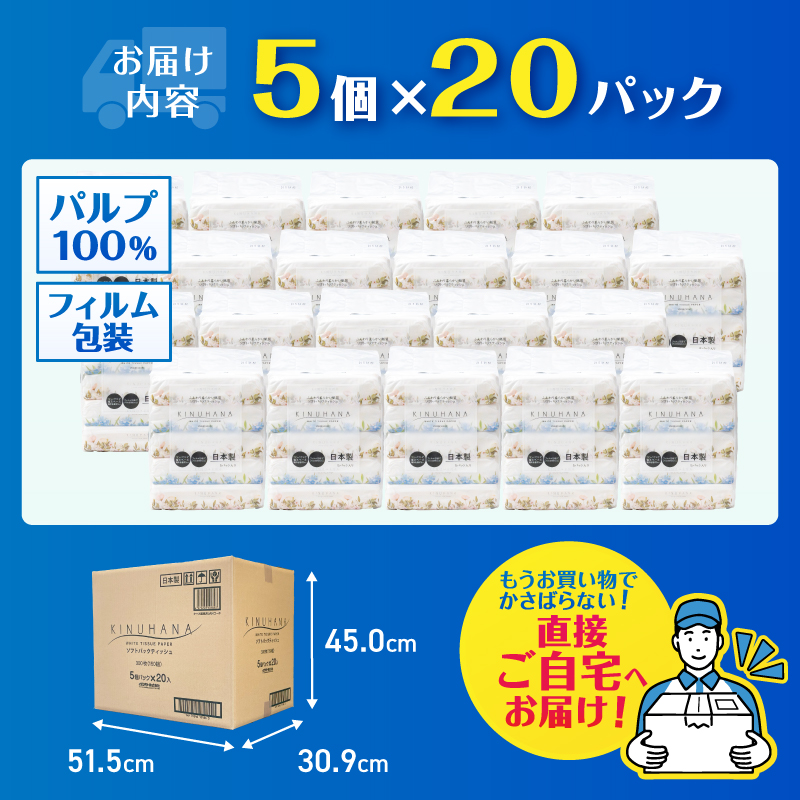 きぬはなソフトパックティッシュ 100個(5個×20パック) [sf002-385]