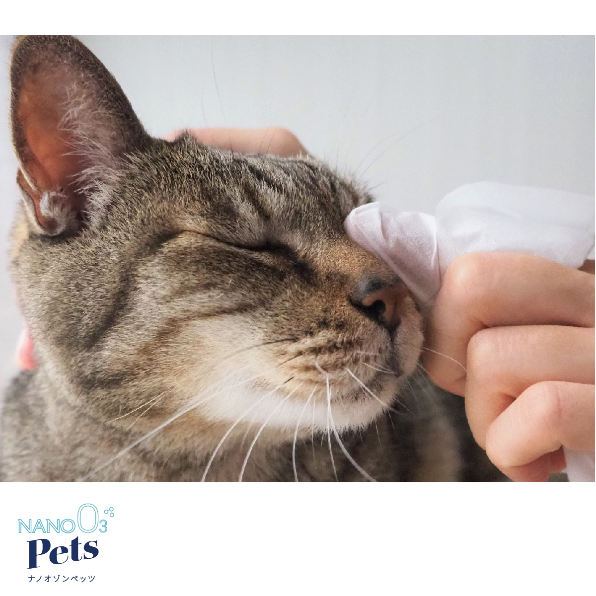 NANO OZONE Pets [sf025-006]