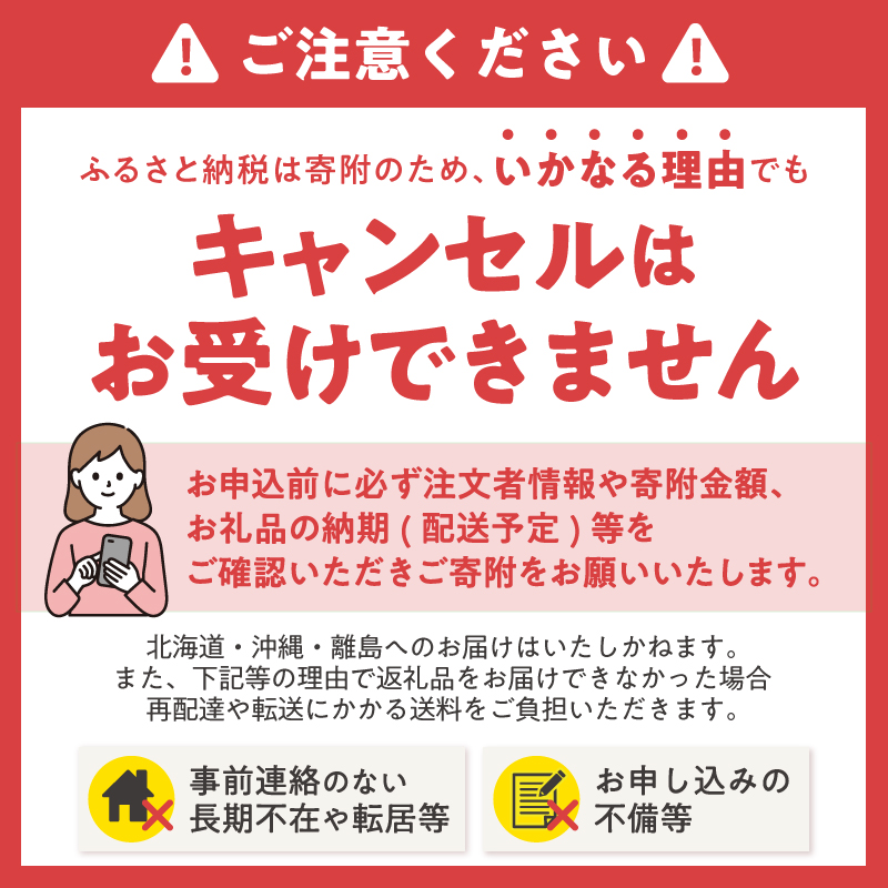 【極】シリーズ　猫用ペットシーツ　厚型レギュラー　576枚　システムトイレ用　日本製 [sf077-136]