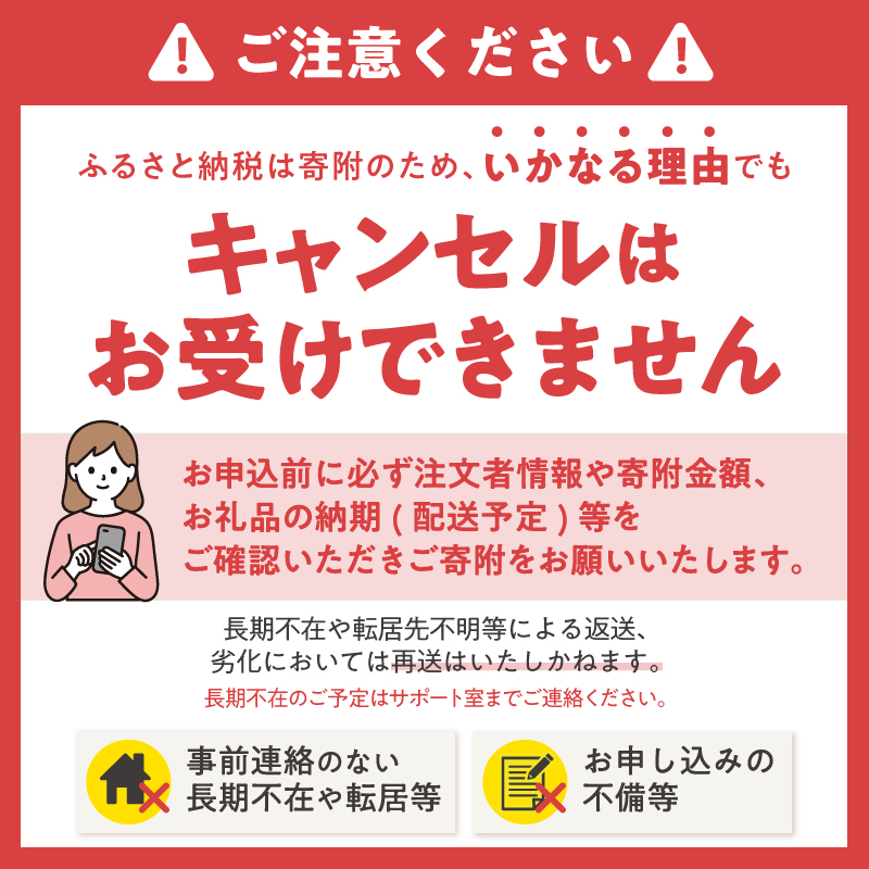 牛タン 薄切りスライス 塩味350g [sf110-003]