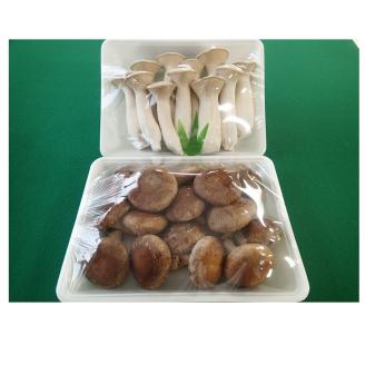 富士山タマチョレイ茸・紅富士茸（椎茸）・エリンギ「美味しいきのこセット」(1040)