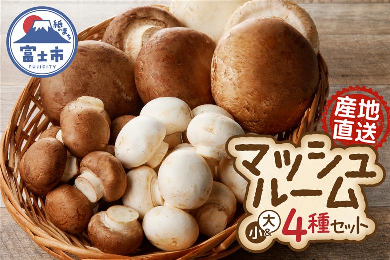 長谷川農産の美味しいマッシュルームセット 無農薬・無漂白栽培 富士山麓 マッシュルームファーム 産地直送 高品質 きのこ キノコ ギフト 長谷川農産 静岡県 富士市 野菜(1039)