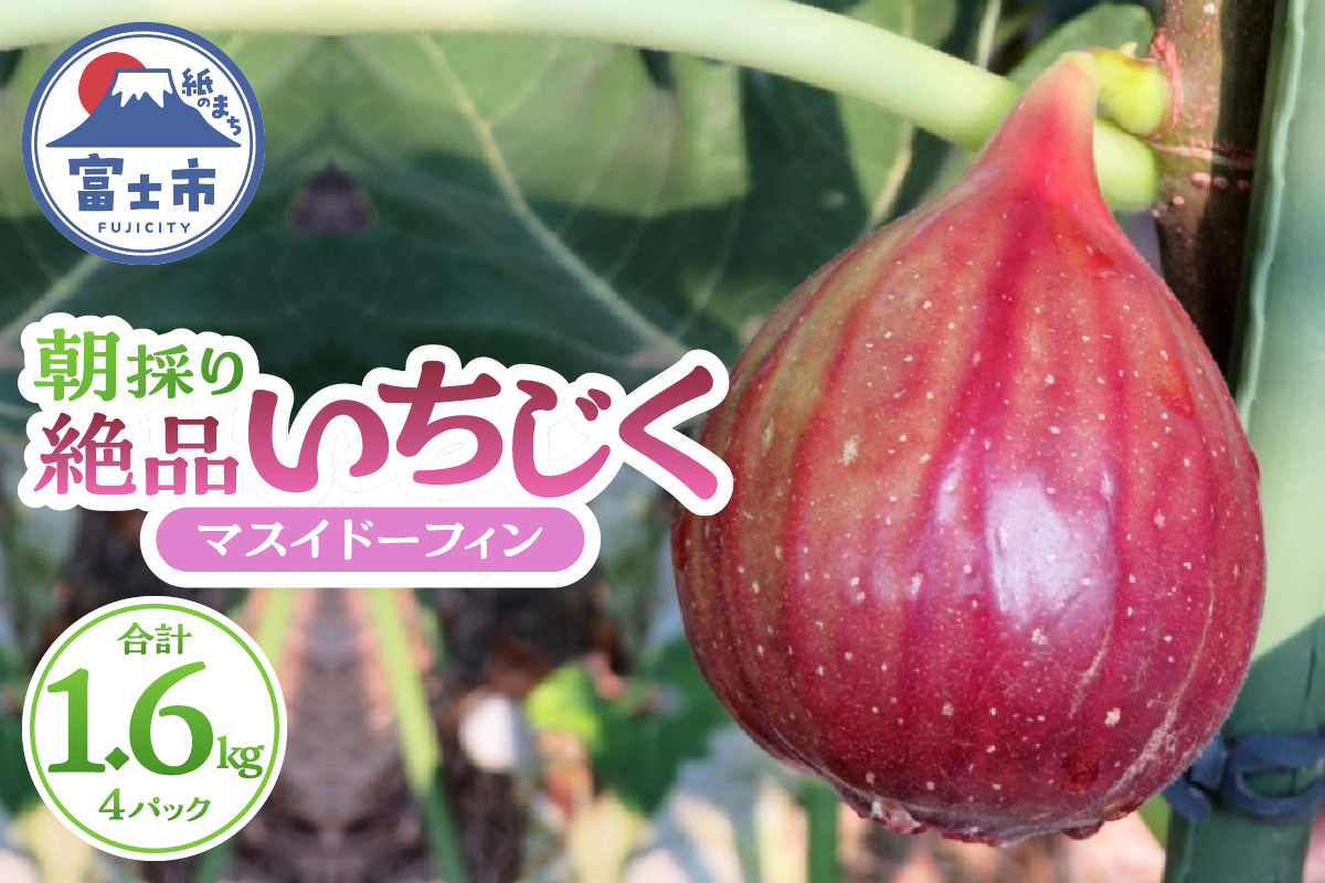 朝採り絶品いちじく(マスイドーフィン4パック) [sf001-074]