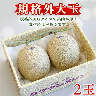 【規格外BIGサイズ!】クラウンメロン規格外大玉　2玉【配送不可地域：離島・北海道・沖縄県】