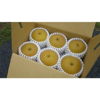 【発送月固定定期便】【2回発送・先行受付】梨(あきづき)とブドウ(シャインマスカット)全2回【配送不可地域：離島】