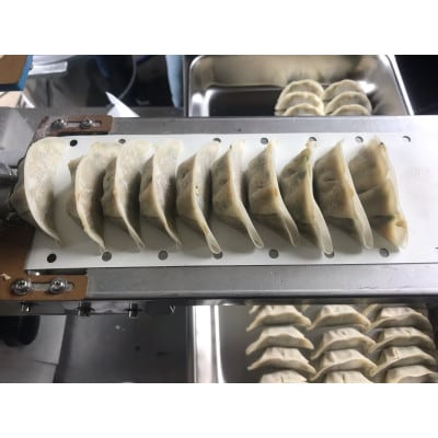 タレのいらないほんのりみそ味ぎょうざ　18粒×5袋　冷凍餃子です。【配送不可地域：離島】