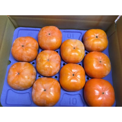 磐田市敷地産　次郎柿　4.5kg～5.5kg(12粒～18粒)