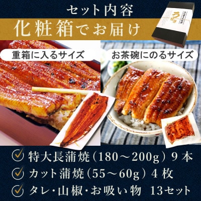 浜名湖・うなぎのたなかのふっくら柔らか国産うなぎ!どっさり山盛り!長蒲焼9本、カット(小)4枚【配送不可地域：離島】