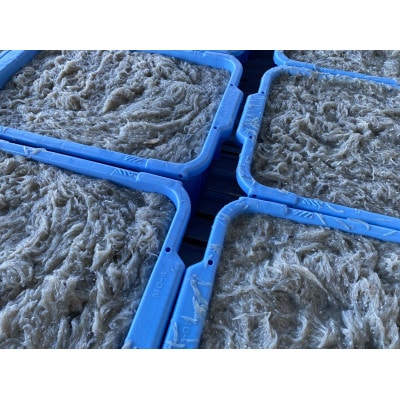 遠州灘産釜揚げしらす1kg【配送不可地域：離島】