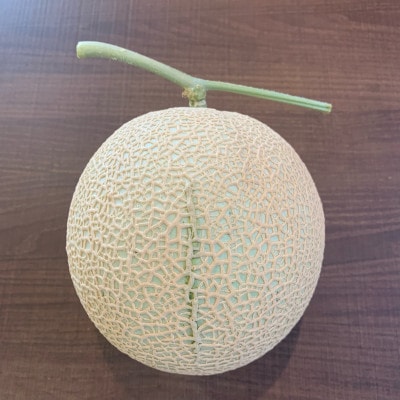 訳あり静岡温室マスクメロン2個入【配送不可地域：離島・北海道・沖縄県】