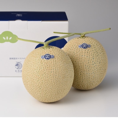静岡温室マスクメロン2個入(化粧箱入)【配送不可地域：離島・北海道・沖縄県】