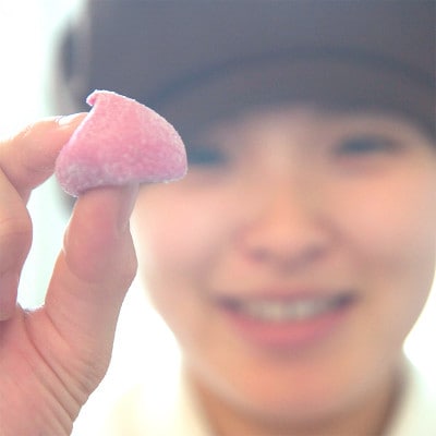 ギモーヴ6種セット 多彩な味わいのギフト【配送不可地域：離島】