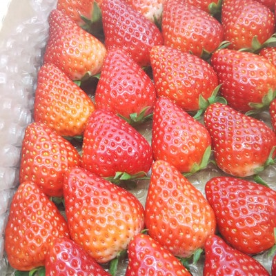 大粒18粒×4パック!先行受付/2025年12月上旬発送開始!抜群の美味しさ!静岡限定きらぴ香いちご【配送不可地域：離島・北海道・沖縄県・東北・中国・四国・九州】