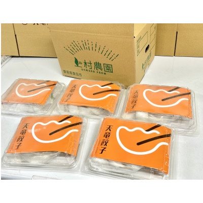 静岡発!キャベツの旨さを追及した【天竜餃子】手土産にも配りやすいパック入り/20個×5パック【配送不可地域：離島】