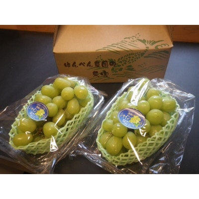 〈先行受付〉【2025年9月発送予定】シャインマスカット 600g以上×2房【配送不可地域：離島】