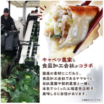 秀餃子 120個(40×3箱)2.4kg 国産野菜と肉の新鮮さにこだわった本気のぎょうざ 国産 冷凍【配送不可地域：離島】