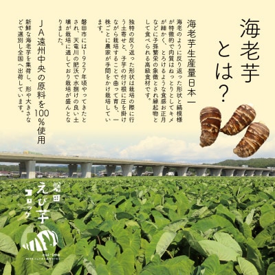 【業務用】静岡県磐田市産のどうまいもちもち『えび芋コロッケ』80g×10個×4袋【配送不可地域：離島】