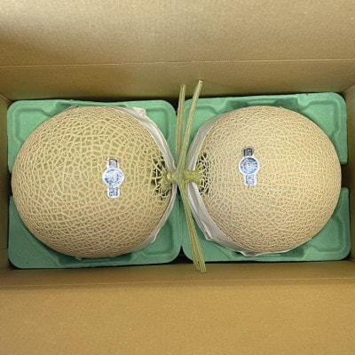 静岡県磐田市 クラウンメロン 山等級 約1.3kg×2個【配送不可地域：離島・北海道・沖縄県】