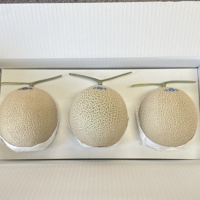 静岡県磐田市 クラウンメロン 山等級 約1.3kg×3個【配送不可地域：離島・北海道・沖縄県】