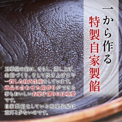 どら焼き 掌(たなごころ) 10個入