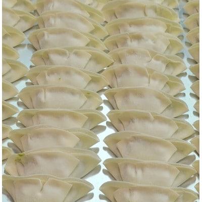 ふくすけ餃子 計60個 冷凍生【配送不可地域：離島】