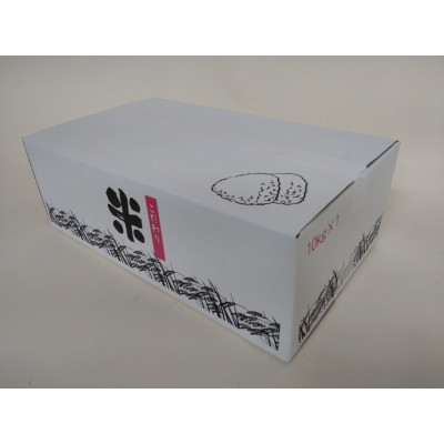 静岡こしひかり 精米 10kg