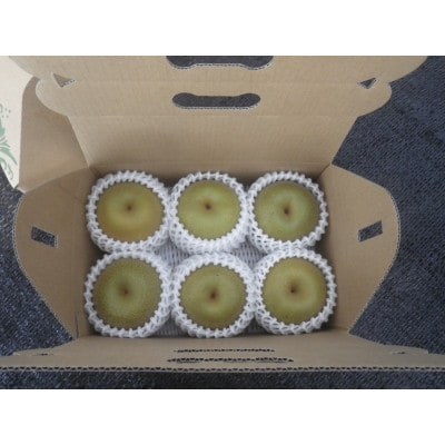 【先行受付】【150口限定】梨『あきづき』(2026年8月下旬～9月中旬発送予定)【配送不可地域：離島】