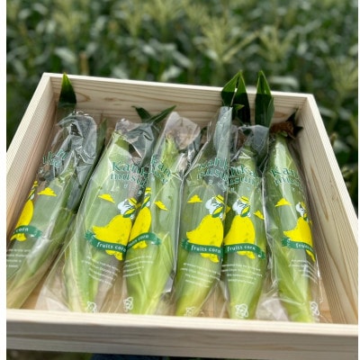 【2026年6月～7月順次発送】とうもろこし 6本 甘々娘(A品) 朝採り スイートコーン【配送不可地域：離島・北海道・沖縄県・東北・中国・四国・九州】