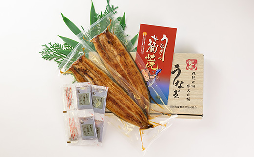 中遠加工場のうなぎ長蒲焼　2食セット【配送不可地域：離島】