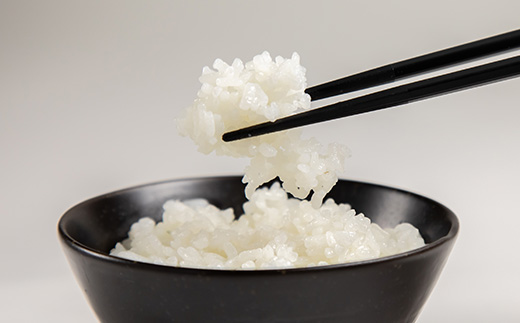 磐田産ミルキークイーン5kg