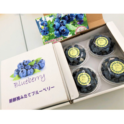 【令和8年5月 順次発送】完熟ブルーベリー生果実　食べ比べセット【配送不可地域：離島】