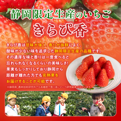 先行受付/2025年12月上旬発送開始!抜群の美味しさ!静岡限定:きらぴ香いちご 280g×4パック【配送不可地域：離島・北海道・沖縄県・東北・中国・四国・九州】