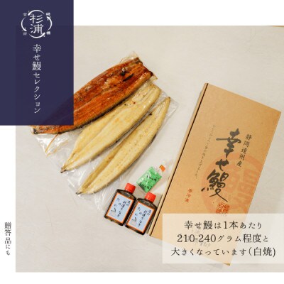 遠州杉浦うなぎLセット　白焼5本+蒲焼5本(2,100~2,400g)+肝白焼3パック+タレ3個【配送不可地域：離島】