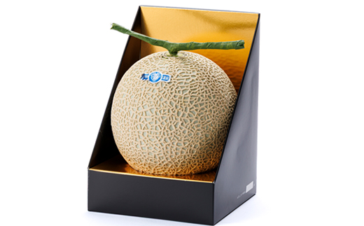 磐田市　アローマメロン　1.2キロ以上　白等級　食べごろ日記載あり　静岡県産　ライオンメロン