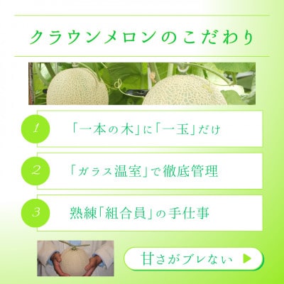 静岡県磐田市 クラウンメロン 白等級 約1.3kg×2個【配送不可地域：離島・北海道・沖縄県】