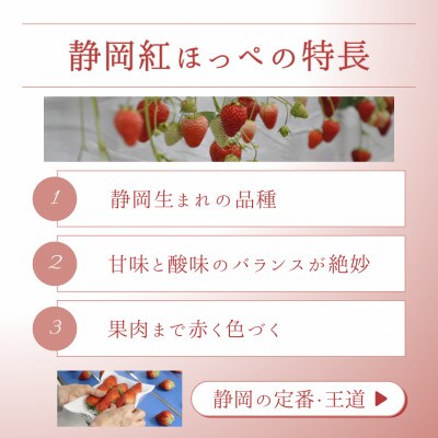 【2027年先行受付】静岡県磐田市 いちご 紅ほっぺ 約260g×2パック【配送不可地域：離島・北海道・沖縄県】