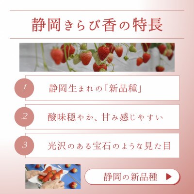 【2027年先行受付】静岡県磐田市 いちご きらぴ香 約260g×2パック【配送不可地域：離島・北海道・沖縄県】