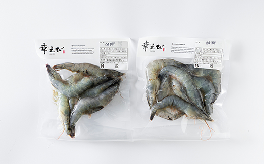 【訳あり】幸えびB品160g×2パックセット　静岡県磐田市産【配送不可地域：離島】
