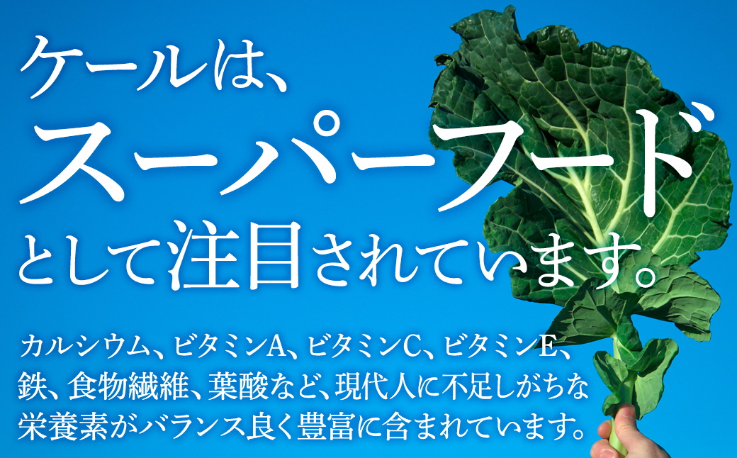 【毎月定期便】血圧対策+手軽に野菜摂取!【無添加 ケールまるごと100%青汁】スーパーフード全6回