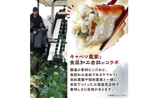 【発送月固定定期便】秀餃子80個(40個×2箱)×隔月発送6回 静岡県磐田市 全6回【配送不可地域：離島】