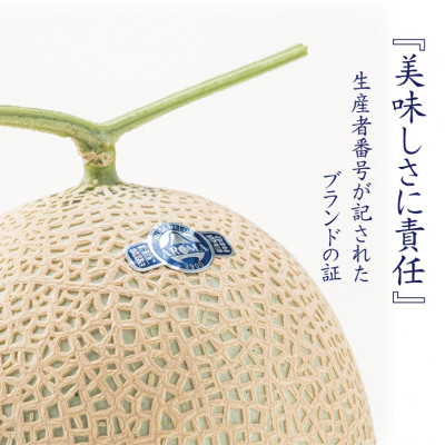 【毎月定期便】【高級メロンの訳あり品】アローマメロン1玉・6ヵ月毎月お届け全6回【配送不可地域：離島・北海道・沖縄県】