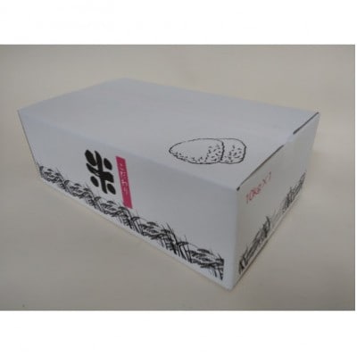 【毎月定期便】静岡こしひかり(精米)10kg×1袋全3回